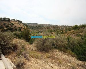 Οικόπεδο 31.092 τ.μ. για πώληση