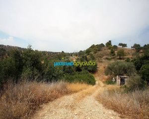 Οικόπεδο 31.092 τ.μ. για πώληση, Αργολίδα, Κρανίδι-thumb-13