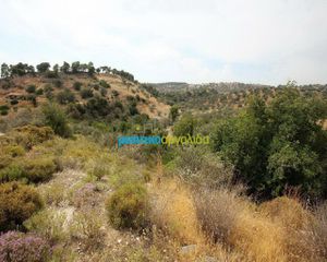 Οικόπεδο 31.092 τ.μ. για πώληση, Αργολίδα, Κρανίδι-thumb-12
