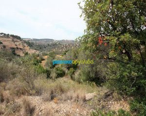 Οικόπεδο 31.092 τ.μ. για πώληση, Αργολίδα, Κρανίδι-thumb-3