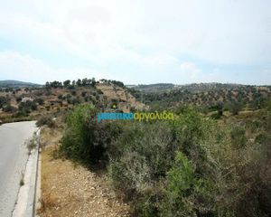 Οικόπεδο 31.092 τ.μ. για πώληση, Αργολίδα, Κρανίδι-thumb-1