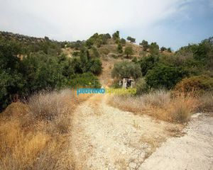 Οικόπεδο 31.092 τ.μ. για πώληση, Αργολίδα, Κρανίδι-thumb-11