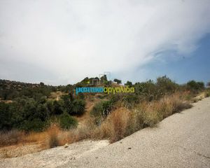 Οικόπεδο 31.092 τ.μ. για πώληση, Αργολίδα, Κρανίδι-thumb-10