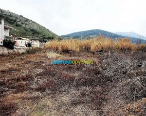 Μονοκατοικία 200 τ.μ. για πώληση, Αργολίδα, Λέρνα-thumb-6