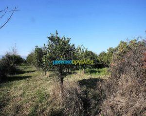 Αγροτεμάχια 6.700 τ.μ. για πώληση, Αργολίδα, Άργος-thumb-3
