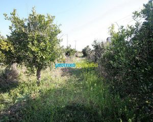 Αγροτεμάχια 6.700 τ.μ. για πώληση, Αργολίδα, Άργος-thumb-9