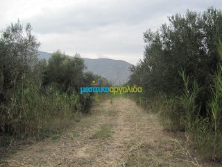 Οικόπεδο 5.907 τ.μ. για πώληση, Αρκαδία, Βόρεια Κυνουρία-thumb-14