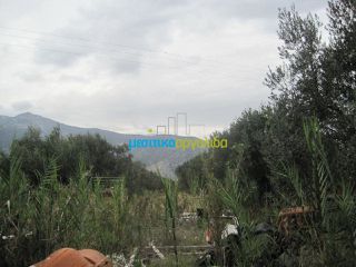 Οικόπεδο 5.907 τ.μ. για πώληση, Αρκαδία, Βόρεια Κυνουρία-thumb-19