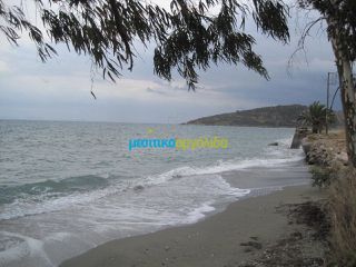 Οικόπεδο 5.907 τ.μ. για πώληση, Αρκαδία, Βόρεια Κυνουρία-thumb-23