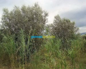 Οικόπεδο 5.907 τ.μ. για πώληση, Αρκαδία, Βόρεια Κυνουρία-thumb-2