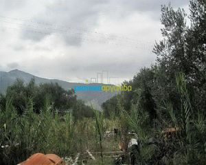Οικόπεδο 5.907 τ.μ. για πώληση, Αρκαδία, Βόρεια Κυνουρία-thumb-5