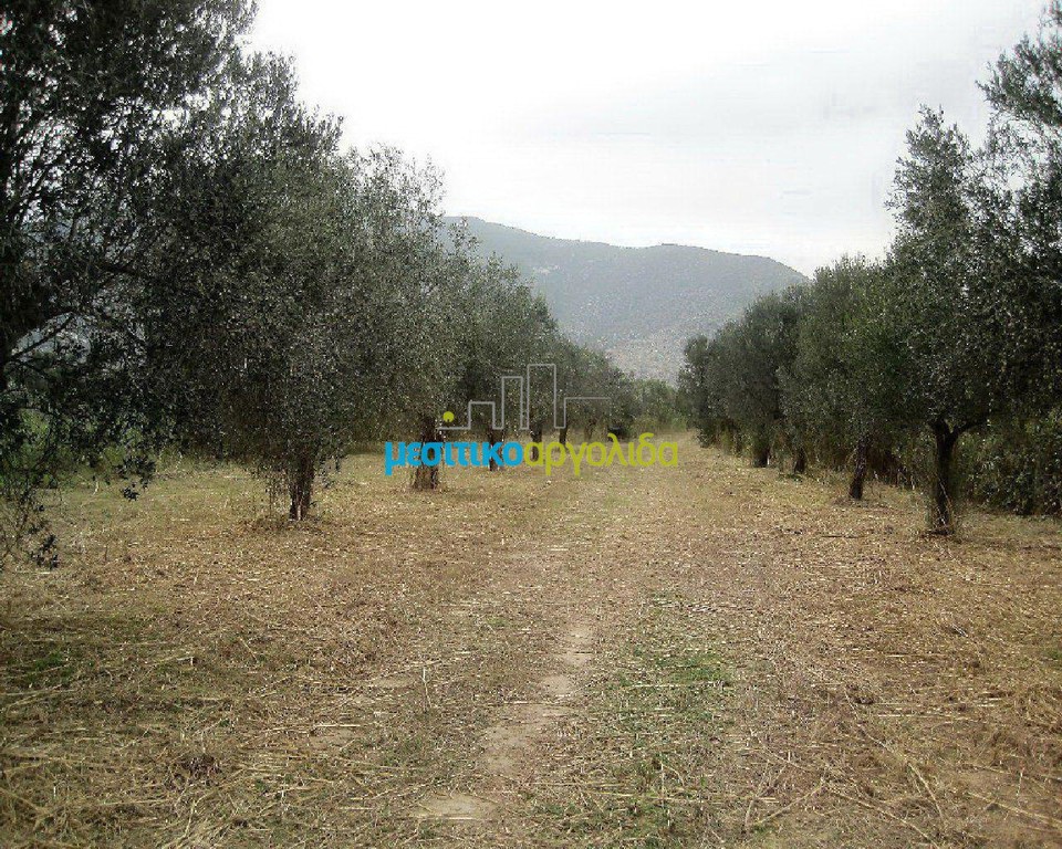 Οικόπεδο 5.907 τ.μ. για πώληση, Αρκαδία, Βόρεια Κυνουρία