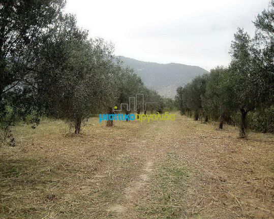 Land plot 5.907 sqm for sale, Arcadia, North Kinouria