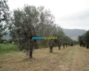 Οικόπεδο 5.907 τ.μ. για πώληση, Αρκαδία, Βόρεια Κυνουρία-thumb-1