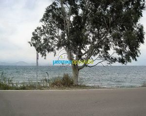 Οικόπεδο 5.907 τ.μ. για πώληση, Αρκαδία, Βόρεια Κυνουρία-thumb-7