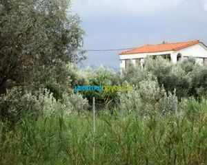Οικόπεδο 5.907 τ.μ. για πώληση, Αρκαδία, Βόρεια Κυνουρία-thumb-3