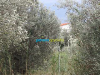 Οικόπεδο 5.907 τ.μ. για πώληση, Αρκαδία, Βόρεια Κυνουρία-thumb-16