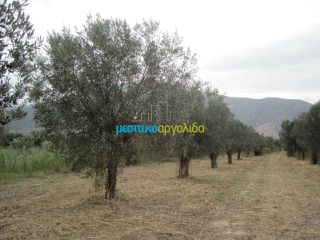Οικόπεδο 5.907 τ.μ. για πώληση, Αρκαδία, Βόρεια Κυνουρία-thumb-12