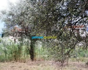 Οικόπεδο 5.907 τ.μ. για πώληση, Αρκαδία, Βόρεια Κυνουρία-thumb-4