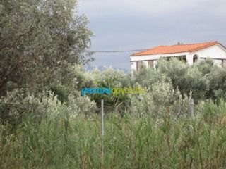 Οικόπεδο 5.907 τ.μ. για πώληση, Αρκαδία, Βόρεια Κυνουρία-thumb-17