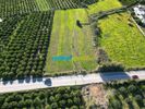 Land plot 4.400sqm for sale-Asini