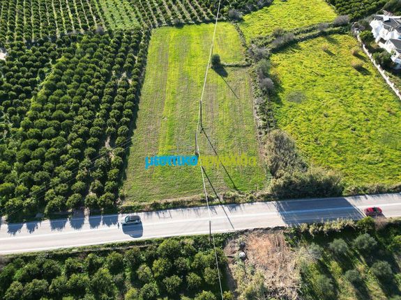 Οικόπεδο 4.400 τ.μ. για πώληση, Αργολίδα, Ασίνη