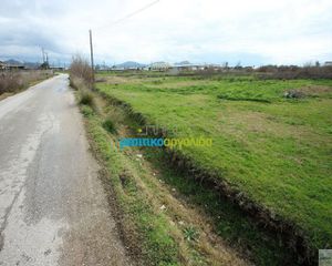 Οικόπεδο 10.228 τ.μ. για πώληση, Αργολίδα, Άργος-thumb-8