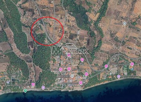 Αγροτεμάχια 1.794 τ.μ. για πώληση