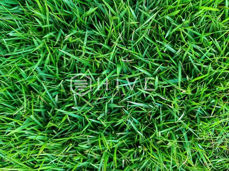 Land plot 150 sqm for sale