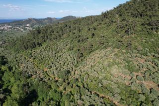 Αγροτεμάχια 4.380 τ.μ. για πώληση, Ν. Καβάλας, Θάσος-thumb-14