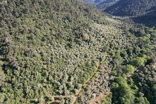 Αγροτεμάχια 4.380 τ.μ. για πώληση, Ν. Καβάλας, Θάσος-thumb-16