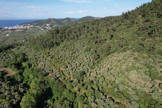 Αγροτεμάχια 4.380 τ.μ. για πώληση, Ν. Καβάλας, Θάσος-thumb-13