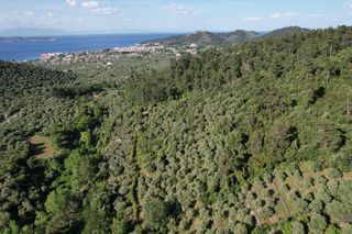 Αγροτεμάχια 4.380 τ.μ. για πώληση, Ν. Καβάλας, Θάσος-thumb-11