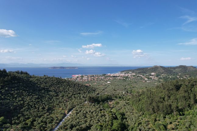 Αγροτεμάχια 4.380 τ.μ. για πώληση, Ν. Καβάλας, Θάσος