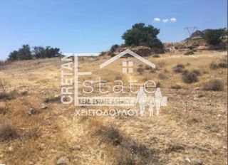 Οικόπεδο 11.100 τ.μ. για πώληση, Ν. Λασιθίου, Ιεράπετρα-thumb-5