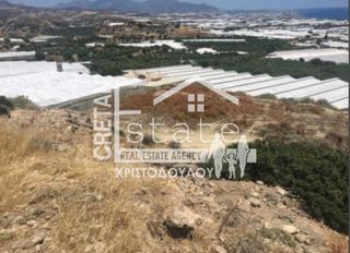 Οικόπεδο 11.100 τ.μ. για πώληση, Ν. Λασιθίου, Ιεράπετρα-thumb-9