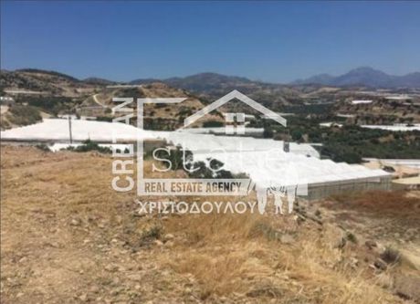 Οικόπεδο 11.100τ.μ. για πώληση-Ιεράπετρα » Στόμιο
