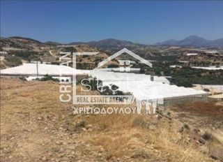Οικόπεδο 11.100 τ.μ. για πώληση