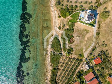 Οικόπεδο 400τ.μ. για πώληση-Τριγλία » Νέα τρίγλια