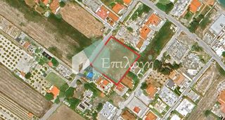 Οικόπεδο 2.600 τ.μ. για πώληση