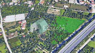 Αγροτεμάχια 16.300 τ.μ. για πώληση