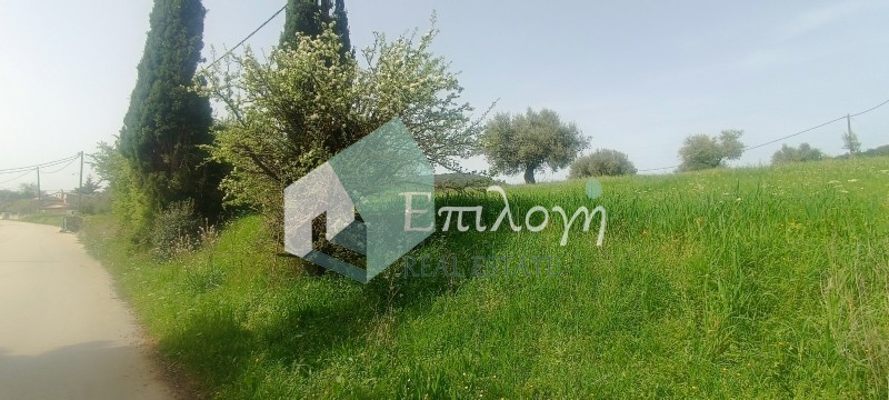 Αγροτεμάχια 12.000 τ.μ. προς πώληση, Λυγιές