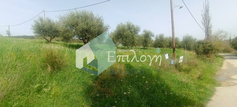 Αγροτεμάχια 12.000 τ.μ. προς πώληση, Λυγιές