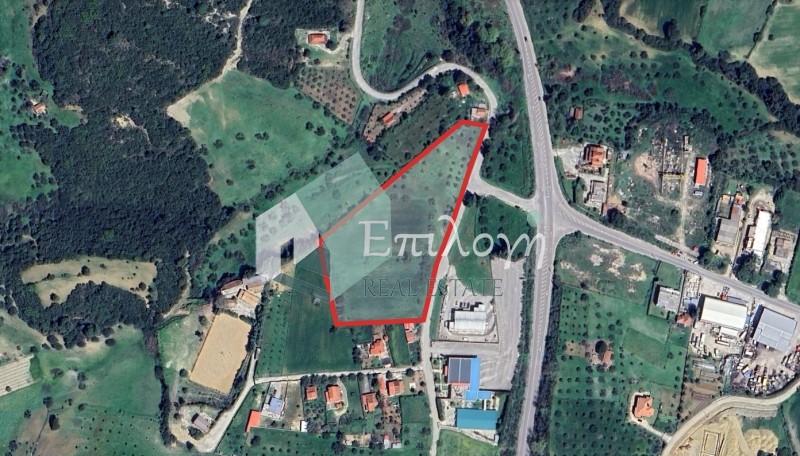 Αγροτεμάχια 12.000 τ.μ. προς πώληση, Λυγιές