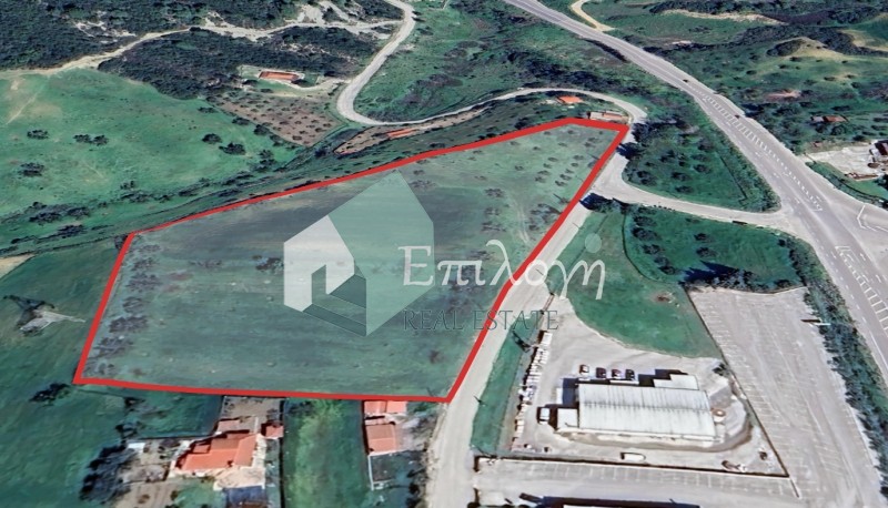 Αγροτεμάχια 12.000 τ.μ. προς πώληση, Λυγιές