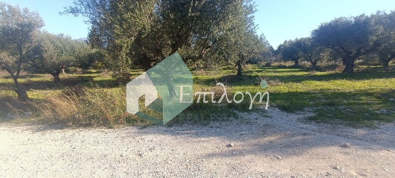 Αγροτεμάχια 22.000 τ.μ. προς πώληση, Ακταίο Ρίου