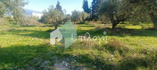 Αγροτεμάχια 22.000 τ.μ. για πώληση