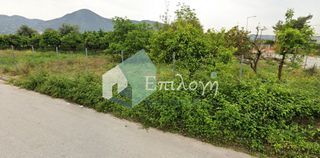 Οικόπεδο 1.000 τ.μ. για ενοικίαση, Αχαΐα, Πάτρα-thumb-7
