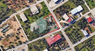 Οικόπεδο 1.000 τ.μ. για ενοικίαση