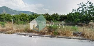 Οικόπεδο 1.000 τ.μ. για ενοικίαση, Αχαΐα, Πάτρα-thumb-11